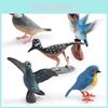 Detailed Plastic Bird Figurines Featuring Realistic Hummingbird And Other Nature-inspired Designs