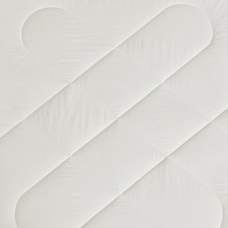 LUOLAI All-Season Cotton Soy Fiber Washable Quilt