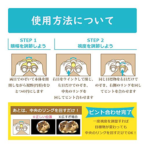 Binocular Camera, 12x, 32mm Aperture, High Magnification, Digital Camera, 1080P, 2.0 LCD, Recording Telescope with Camera for Concerts, Bird Watching,