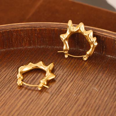 Personalized Ear Buckle Spring And Summer New Light Luxury Niche Design C-Shaped Irregular Earrings Women'S Fashion Titanium Steel Earrings