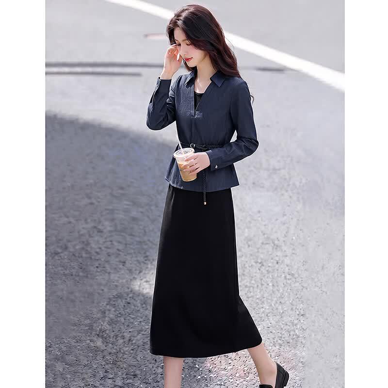 Elegant V-neck Long Sleeve Top & Mid-length Dress Set