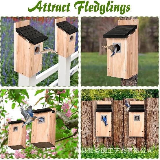 Bird Houses for Outside Cedar Bird House Outdoor, Bluebird Finch Swallow Wren Chickadee Assembly Required