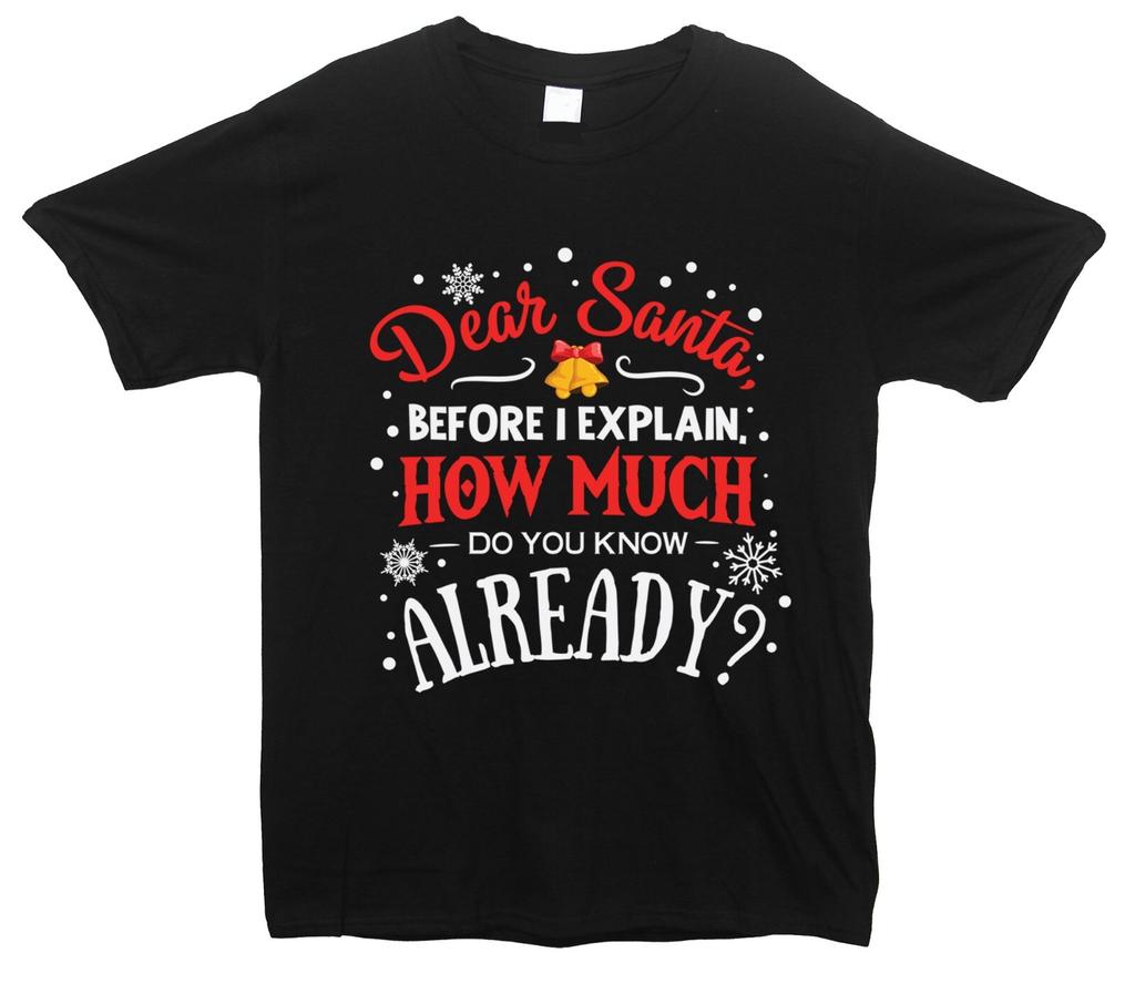 Dear Santa How Much Do You Know Already Printed T-Shirt, Christmas Funny Holiday