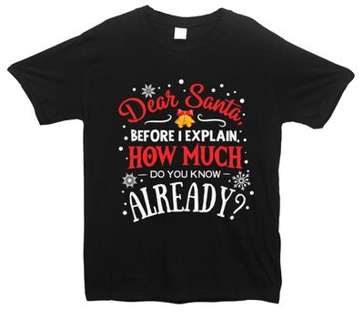 Dear Santa How Much Do You Know Already Printed T-Shirt, Christmas Funny Holiday