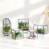 Small Retro Cube Glass Greenhouse for Preserved Flowers and Succulents