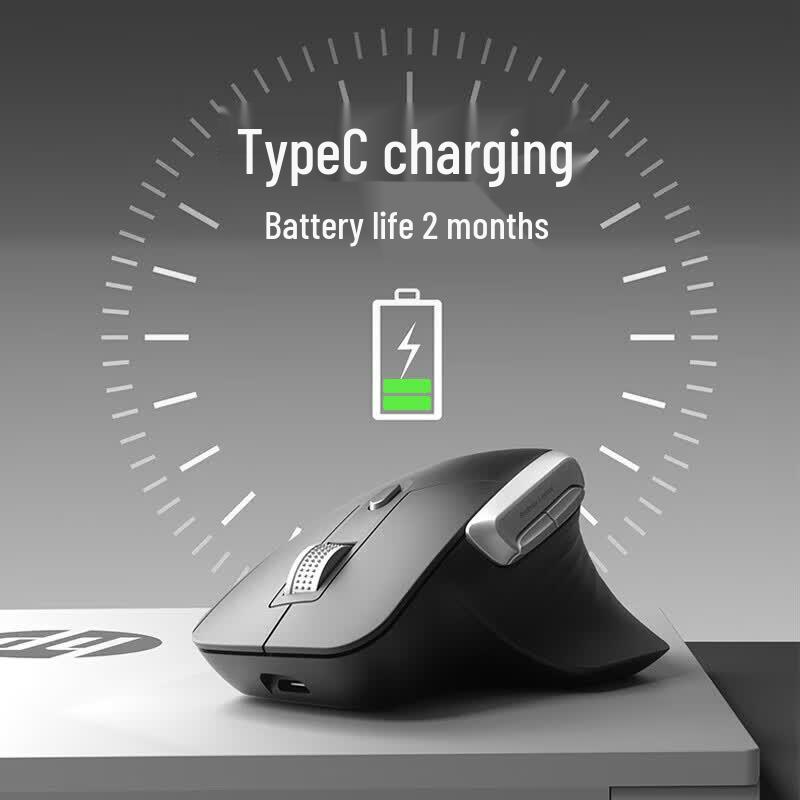 HP Professor 1 Wireless Ergonomic Mouse
