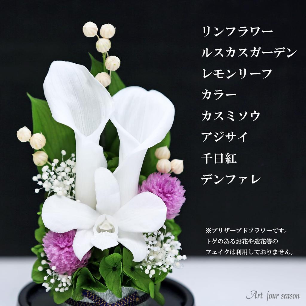 Art Four Seasons Mini Color Mini Dome White Preserved Flowers