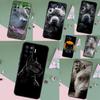 Telefon kapları – Smartphone Bumper Kılıflar