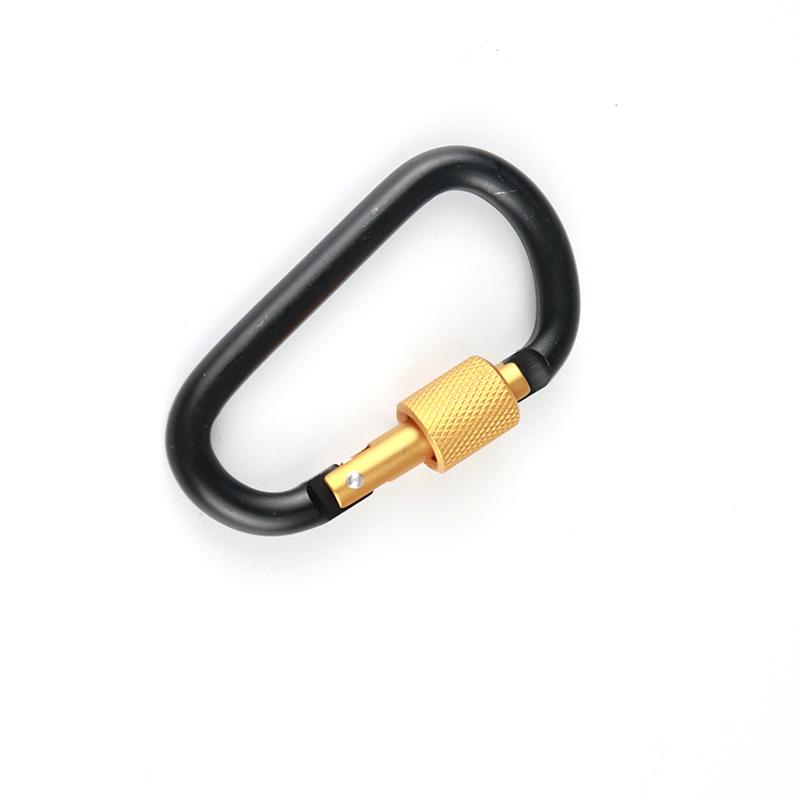 Large D-Type Aluminum Climbing Hook with Quick Link & Keyring