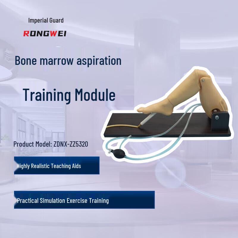 Rongwei Tibial and Femoral Vein Puncture Training Model