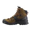 Xt-Quest 4 Outdoor Functional Shoes Men Shoes Brown 471564
