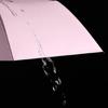 Strong Wind Resistant 3 Folding Automatic Umbrella Men Parasol Women Rain 8 Ribs