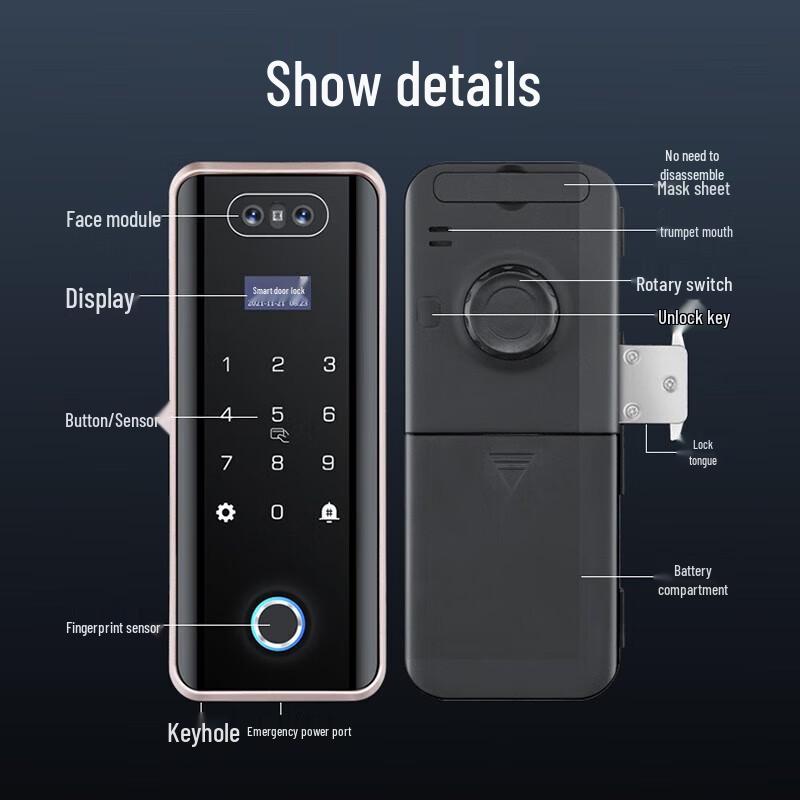 Realand ZD508 Face Recognition Smart Lock CN plug (adapter included)