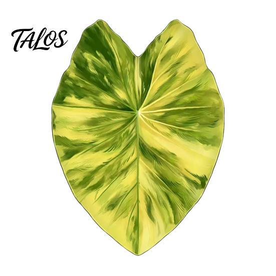 Botanical Fridge Magnets 3D Tropical Plants Refrigerator Magnet, Acrylic Green Decorative Plant Home Decor Memo Notes Photo Holder for Kitchen Office