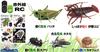 Doyusha Infrared RC Insect Series Giant Ant Electric Infrared Control No. 9917
