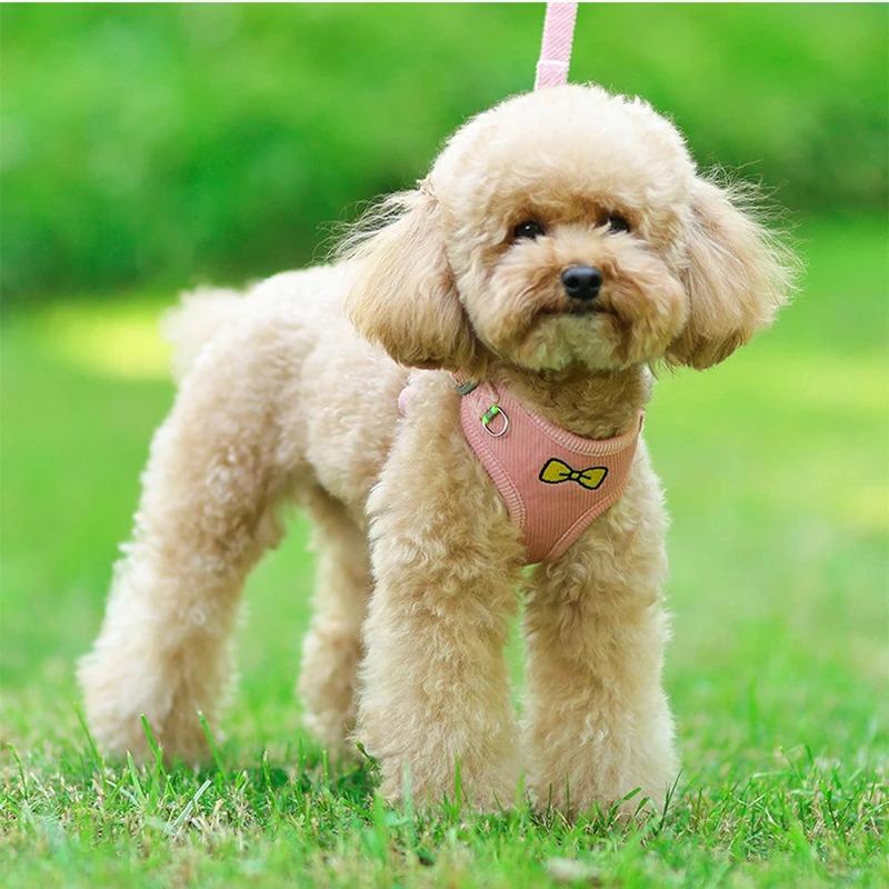 Hundegeschirr Brust Haustierbedarf Taktische Weste Zubehör Halsband Hunde Welpe Großkatzen Dinge Haustiere Leine Klein Halsbänder Produkte