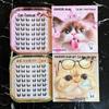 Khaki Cat-Eye Princess False Eyelashes Set - Natural Look for Beginners