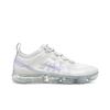 Womens Air VaporMax 2019 SE 'Vast Grey Purple Agate' (women's Sizes) Vast Grey / Wolf Grey / Metallic Platinum / Purple Agate Running Shoes