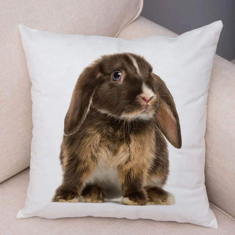 Home Sofa Kids Room Decor Cute Pet Animal Print Cushion Cover Pillowcase  Rabbit