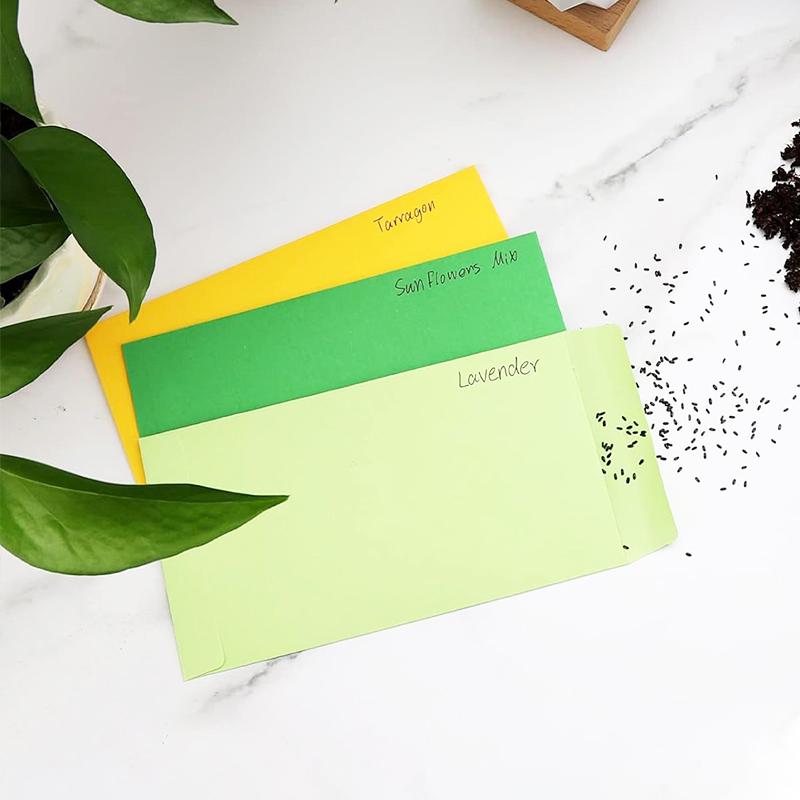 100PC Money Envelopes for Cash Gift Cards Cash Envelopes Seeds Self-Sealing Organizing Coins 8.89x16.5cm