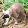 Oenux Simulation Wild Figurines Black Bear Wombat Raccoon Model Action Figures Forest Animals Toy Home Decoration Kids Education