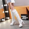 Boots Women's Boots Women's Autumn and Winter Women's Shoes Long Simple Fashion Boots High Heel Boots