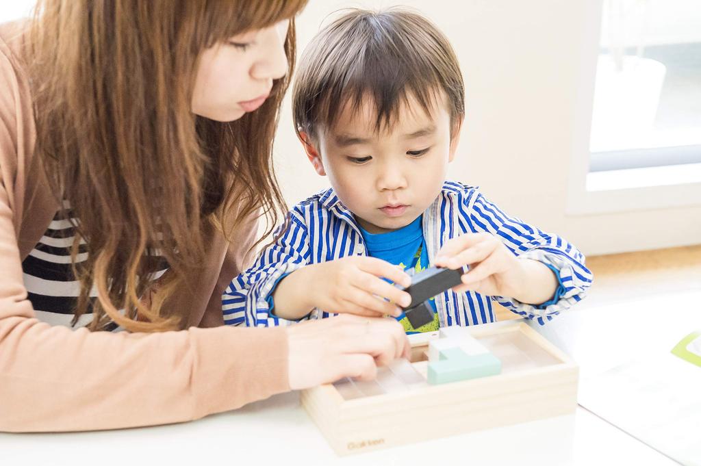 Gakken Pentacube 83409 Brain-Boosting