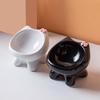 Urocza ceramiczna miska dla zwierząt domowych Podwyższona miska dla kota Chroni kręgi szyjne Artykuły dla zwierząt