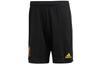 Sports Shorts Men's Black Moderate EJ8554