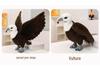 Stofftier Weißkopfseeadler - Kinderspielzeug und Heimdeko-Ornament