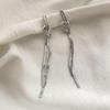 2024 Trendy High-End Light Luxury Tassel Earrings: Unique Women's Ear Clips & Studs