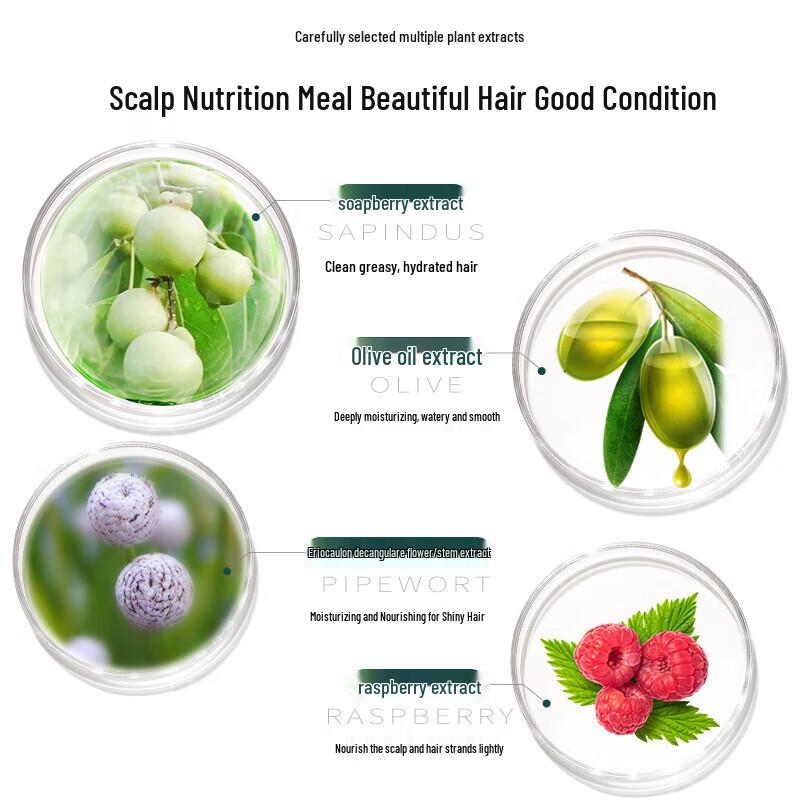 Ziyuan Sapindus Oil Control Shampoo & Conditioner Set