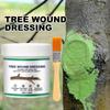 Tree Wound Pruning Sealer Grafting Plant Grafting Pruning Sealer with Brush Bonsai Cut Wound Paste Tree Repair Agent Repair Tool