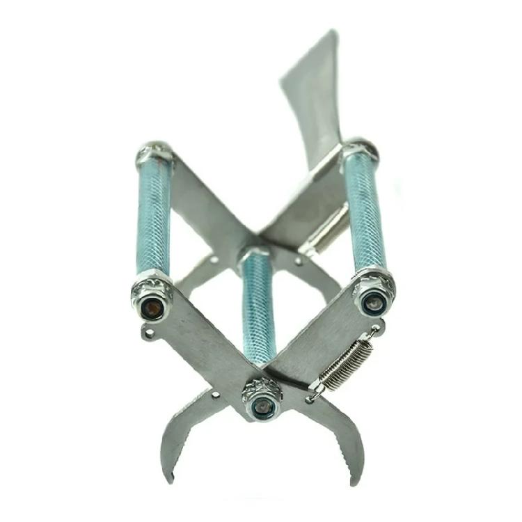 Stainless Steel Bees Frame Clip Queen Rearing System Tool Nests Box Holder Capture Hive Equipment Beekeeping Tool