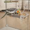 Acrylic Double Bowl Avian Feeder Clear View Parrot Feeder with Perch Pet Supplies Gnaw Resistant
