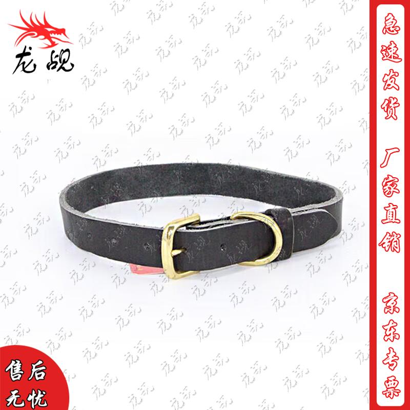

Leather Dog Training Collar