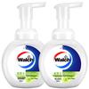 Foaming Antibacterial Hand Wash, Lime & Fruit Scent (2x300ml)