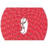 Laisse Pour Chien - Trixie - 4 Mm X 4 Mètres - Nylon - Rouge - Réfléchissante