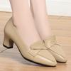 5.5cm 7cm Elegant Office Ladies Soft Leather Shoes Shallow Mouth Heeled Shoes Spring 2025 Trend Med Block Heels Shoes for Work