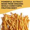 Cordyceps-Extrakt Pilzkapseln, hohe Konzentration an Cordyceps-Essenz, sanft und leicht absorbierbar, für Erwachsene geeignet.