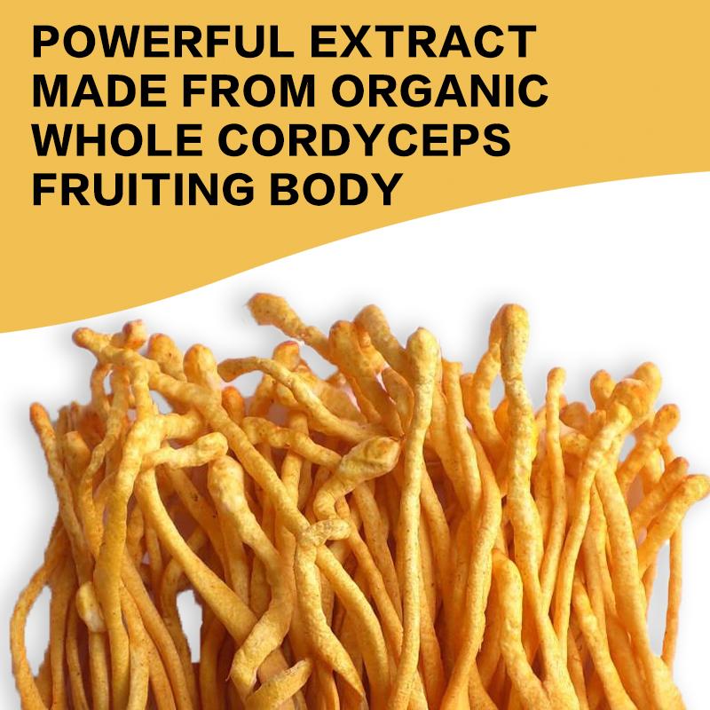 Cordyceps-Extrakt Pilzkapseln, hohe Konzentration an Cordyceps-Essenz, sanft und leicht absorbierbar, für Erwachsene geeignet.