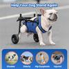 Hundewagen für Hinterbeine – Verstellbare Mobilitätshilfe für kleine Hunde, Hüftstütze & Beinschiene, Gehhilfe für behinderte Haustiere (XS/S/M)