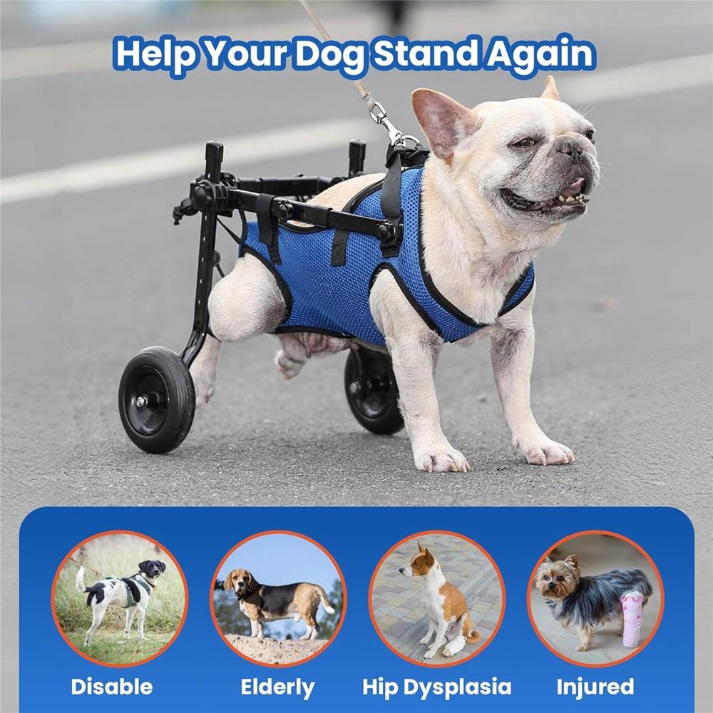 Hundewagen für Hinterbeine – Verstellbare Mobilitätshilfe für kleine Hunde, Hüftstütze & Beinschiene, Gehhilfe für behinderte Haustiere (XS/S/M)