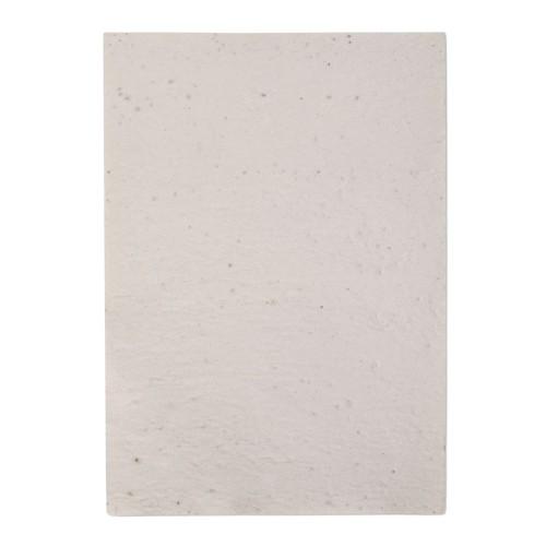 MidOcean Asidi Wildflower Seed Paper