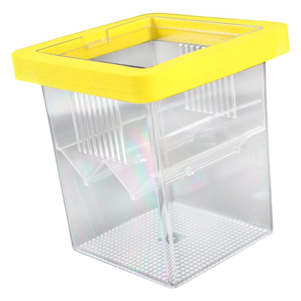 Breeder Box for Fish Tank Mini Fish Fry Isolation Case Incubation Box Hatching Box for Shrimp