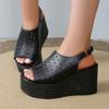 Fashion Aphixta Fashion Woman Black Sandals Side Buckle Peep Toe Women Summer Hollow Shoes Platform Sandal Lady Wedge Shoes Big Size 43