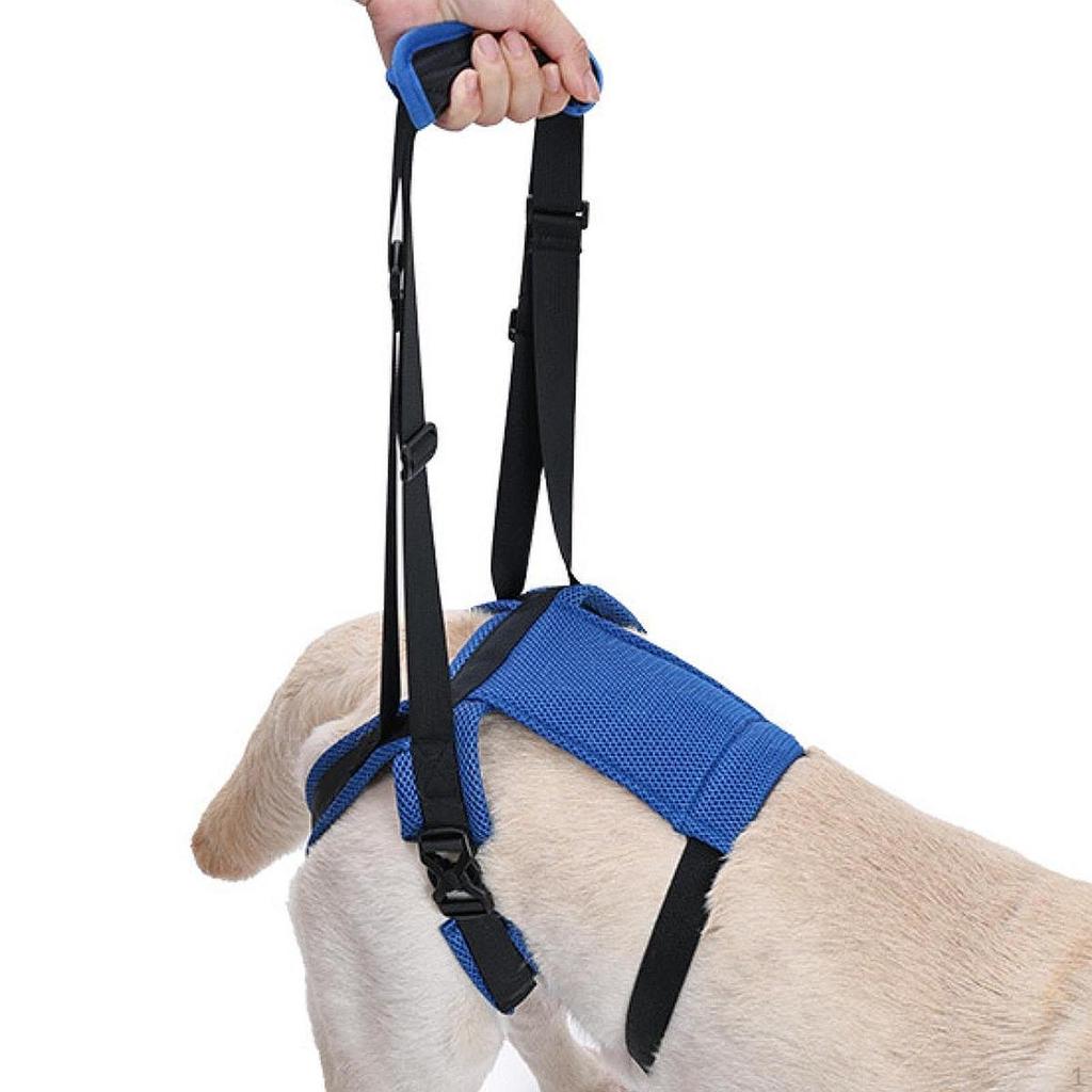 Dog Lift Harness Auxiliary Belt for Back Legs Walk Resistant Lifting Support Pets Assist