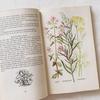 [USED] I'm drawn to the rustic feel of these vintage books on spices and herbs, foreign books, and old botanical books.