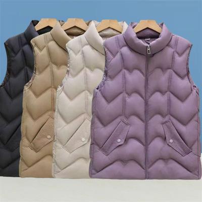 Women's Stand Collar Sleeveless Quilted Vest Loose Fit Warm Padded Gilet Outerwear for Fall Winter