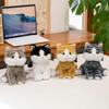 Cat Striped Cartoon Animal Stuffed Plush Toys Fill Children Doll Gift Birthday